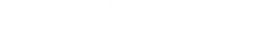 WITS